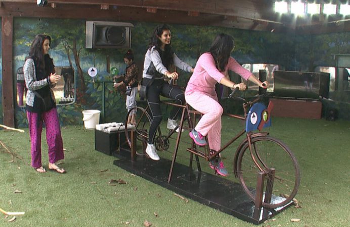 Diandra Soares Bigg Boss 8