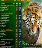 Inaccurate estimation behind India's increased Tiger Count?