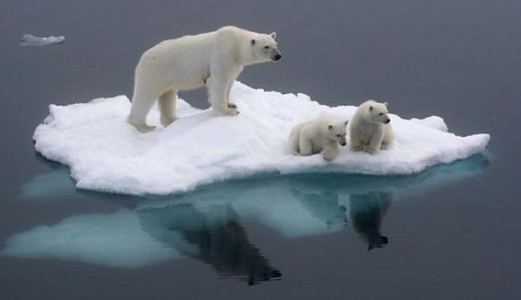 Global Warming could reach drastic heights unseen in 1000 years