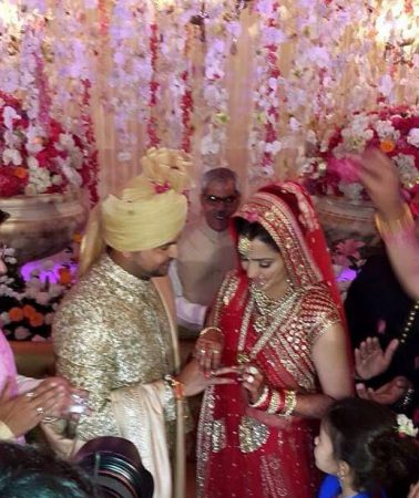 Suresh Raina marriage wedding  reception photos (4)