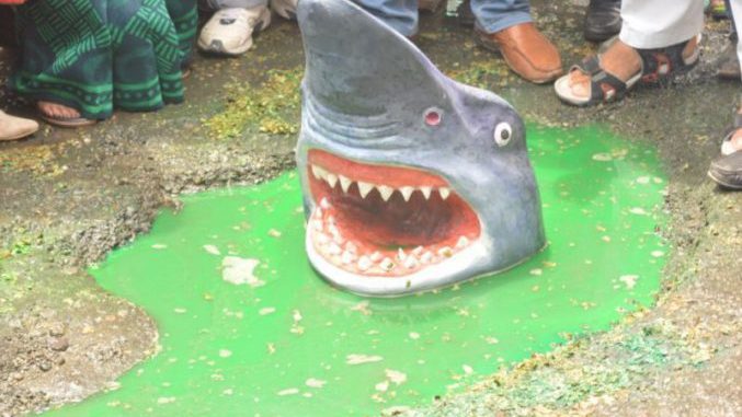 Fake shark on Delhi potholes