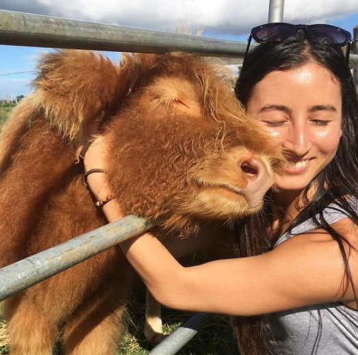 'Cow Hugging' Hollands new Drift for Health Tick