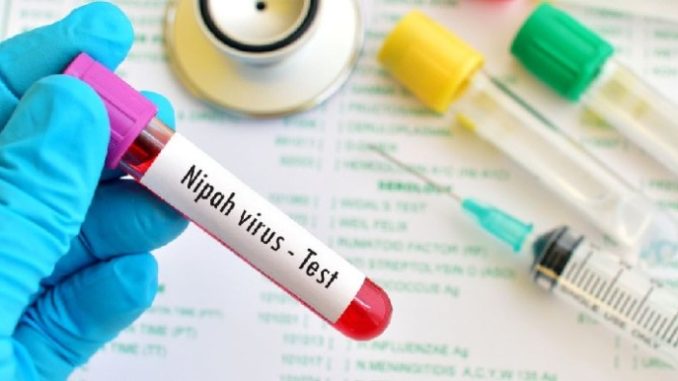 Nipah Virus in Kerala: 68 People Under Isolation