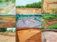 Tiruvannamalai District In Tamil Nadu Sets World Record With 1118 Farm Ponds In 30 Days