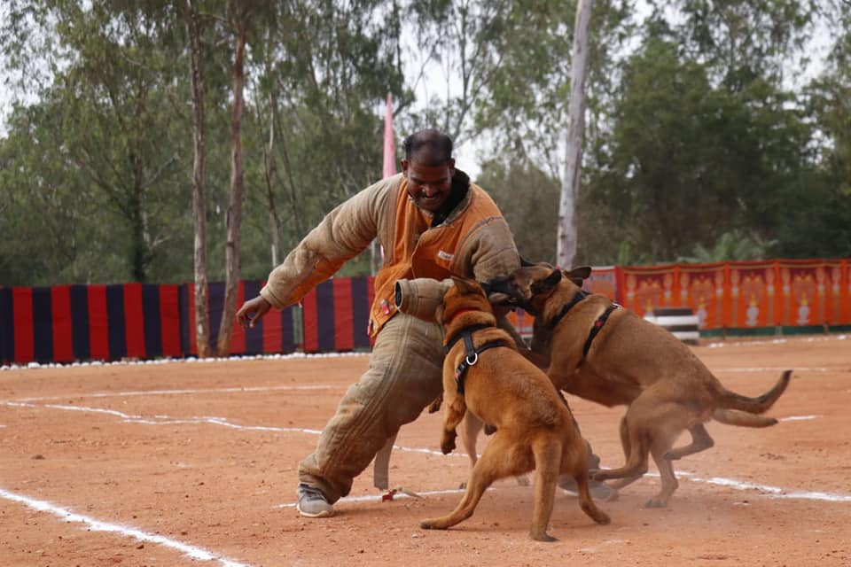 Tejasvi Surya Visits (CRPF) Dog Training Centre in Bengaluru