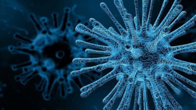 First Case of Covid Variant XE Detected In Gujarat, India
