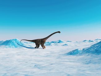 Dinosaurs Survived In Ice, Not Warmth