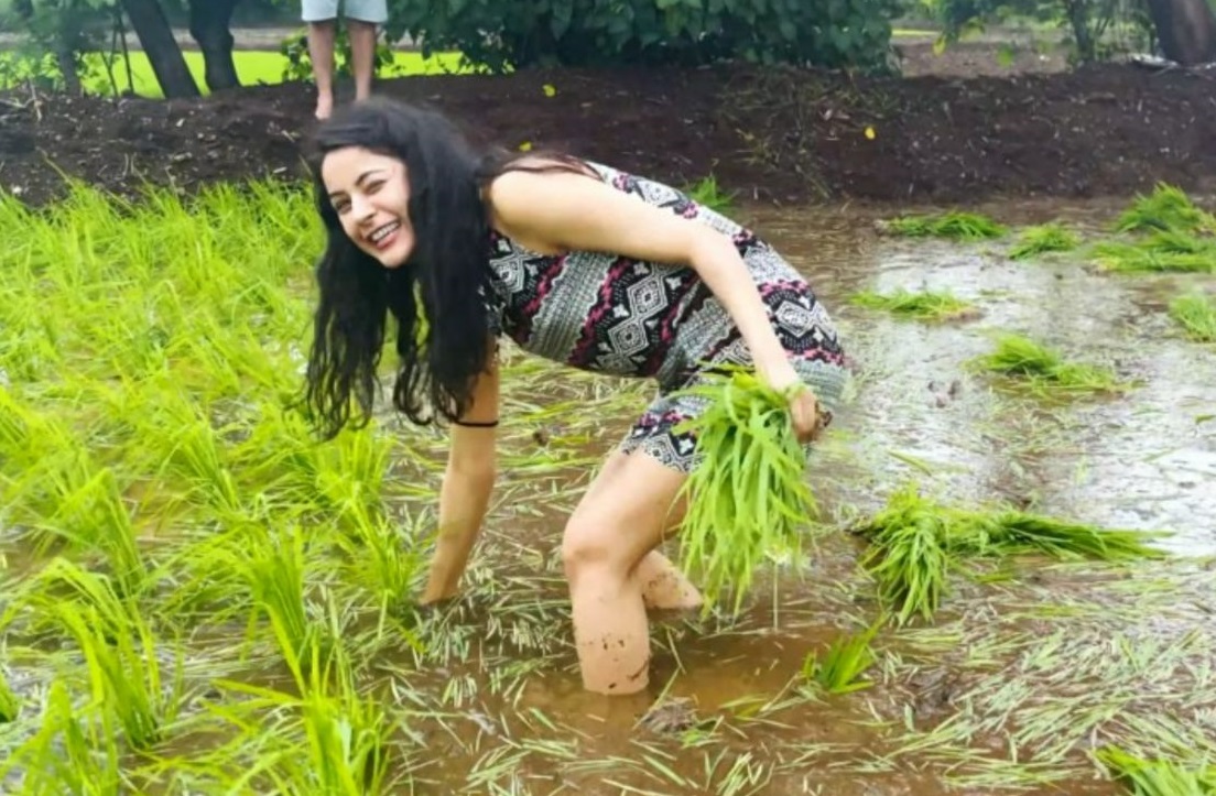 Shehnaaz Gill Enjoys Trekking, Farming Near Mumbai, Says ‘Alag Zindagi Ji Rahi Hu’