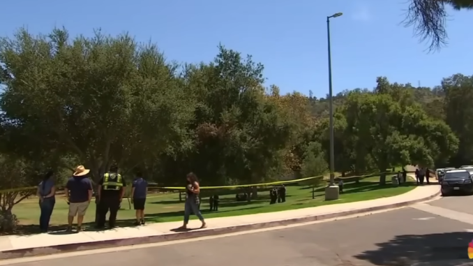 Burning body found hanging from tree in Los Angeles’ Griffith Park