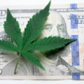 Tips For Success In The Cannabis Business Industry