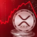 How Binance's XRPL Network Outage Sparked a Backlash from XRP Army