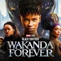 'Black Panther: Wakanda Forever' is unstoppable as it creates new box office records