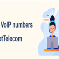 Connect With Big Commercial Entities. Get the Best VoIP Services In The World From HotTelecom