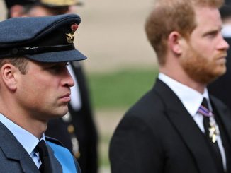 Prince Harry says William knocked him to floor in row over Meghan - Guardian