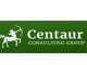 A Detailed Review of Centaur Consulting Group’s Digital Marketing Strategies
