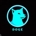Dogecoin Loses 9% of Its Value as Twitter Ditches DOGE Logo and Whales Cash Out