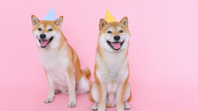 Shiba Inu Coin Sees Rise After St. Paddy's Day Post