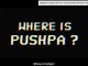 'Pushpa 2' Glimpse Out: Allu Arjun's Fierce Avatar Promises a High-Octane Action Thriller