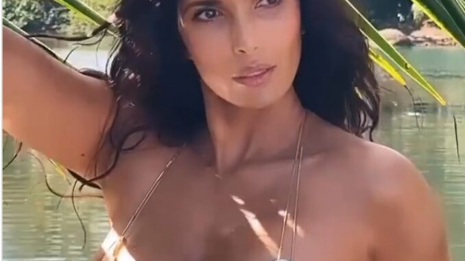 Padma Lakshmi, a multifaceted personality who has achieved success