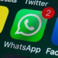 Username Feature on WhatsApp Web App: What You Need to Know