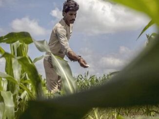 PM-PRANAM scheme gets CCEA approval to boost alternative fertilizers