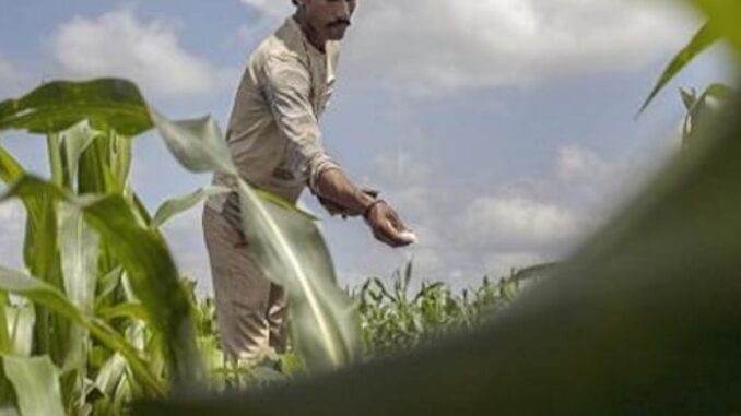 PM-PRANAM scheme gets CCEA approval to boost alternative fertilizers