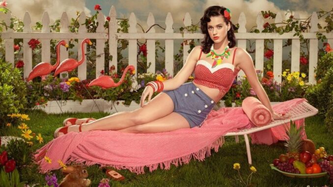 Katy Perry faces backlash from fans over her shoe collection