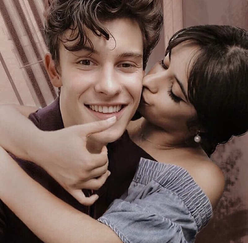 Mendes and Cabello's Second Split Described as a 'Fling' by Insiders