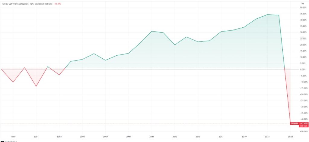Analysis time: the Turkish economy