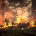 Thousands Evacuated as Wildfires Engulf Greek Island of Rhodes