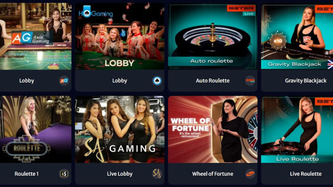Most Popular Online Casino Types in New Zealand 2023