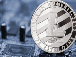 Litecoin Price Crashes After Halving Event