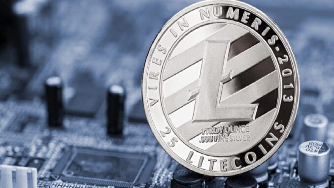 Litecoin Price Crashes After Halving Event