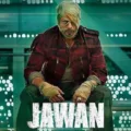 'Jawan' Box-Office Collection Total Worldwide, SRK starrer Crosses Rs 1000 Cr