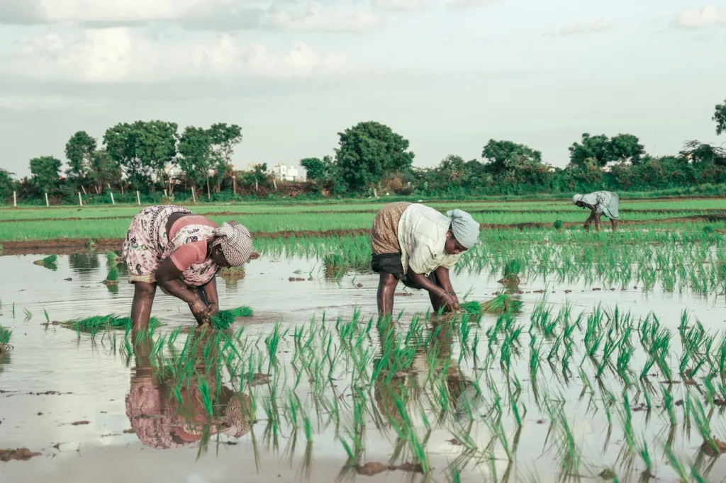 International Day of Rural Women