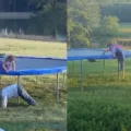 Watch: Video Of A Little Boy Helping His Sister Is Winning the Internet