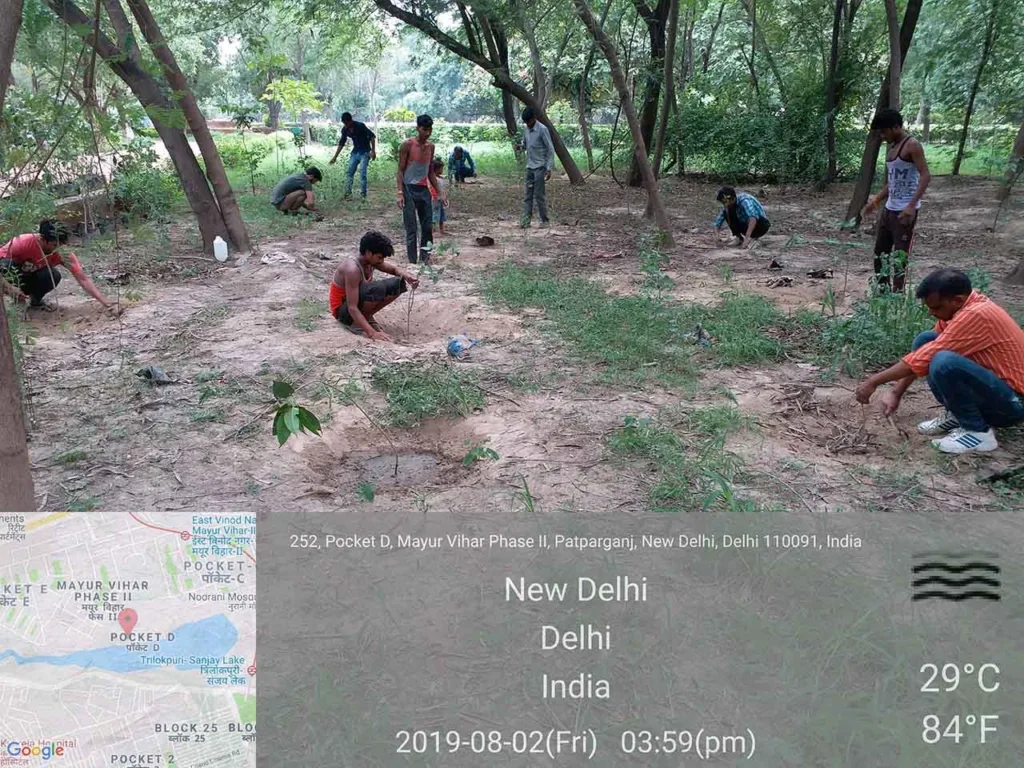 An expanded green cover is all set to absorb the post Diwali pollution in the capital
