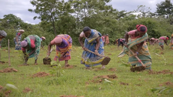 Grow-Trees.com has planted  a whopping 150,000 trees in the Mayurbhanj district in Odisha
