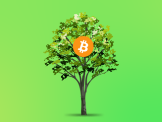 Can Crypto Clean Up its Act? Green Initiatives Offer a Glimpse into a Sustainable Future