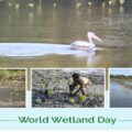 World Wetlands Day, on February 2