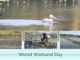 World Wetlands Day, on February 2