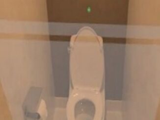 Flush of Fame: Internet's Reaction to the Best Toilet Gadget Viral Video