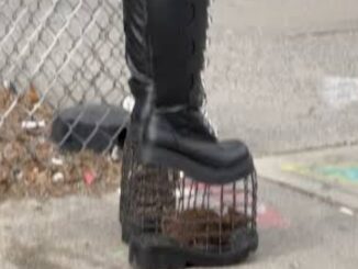 Rat-Cage Heels: The Viral Craze Taking the Internet by Storm with 107 Million Views