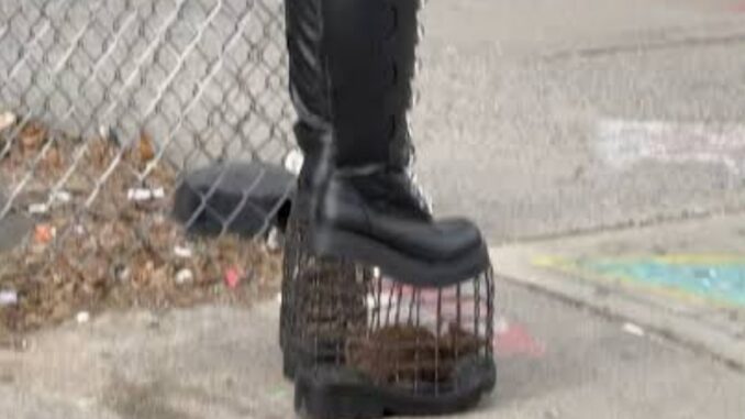 Rat-Cage Heels: The Viral Craze Taking the Internet by Storm with 107 Million Views