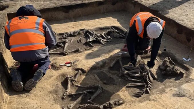 Ancient History Unearthed: Chip Fab Site in Germany Reveals 6,000-Year-Old Surprise
