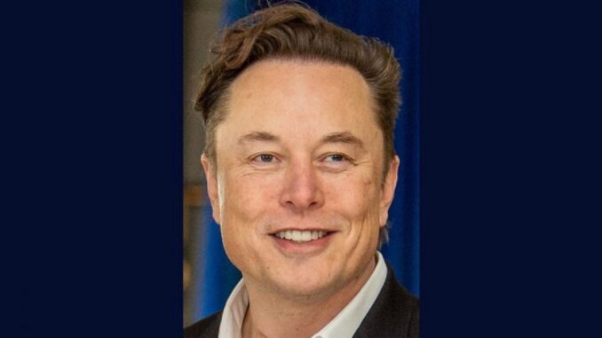 Elon Musk's Disney Transition: Chief DEI Officer or April Fool's Day Prank Gone Viral?
