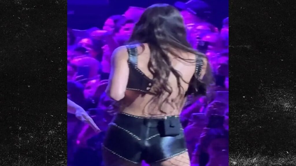 Singer Olivia Rodrigo's leather bra top busts open